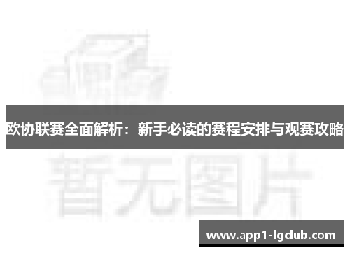 欧协联赛全面解析：新手必读的赛程安排与观赛攻略