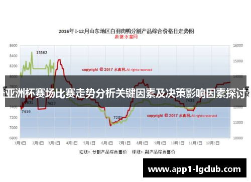 亚洲杯赛场比赛走势分析关键因素及决策影响因素探讨